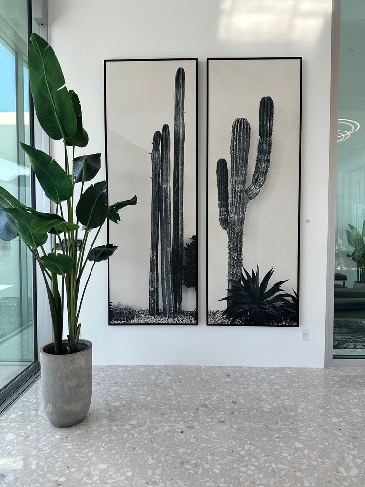 Prickly Pair