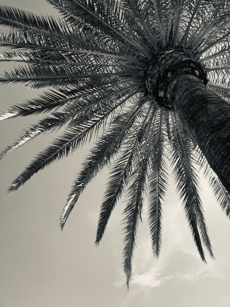 Dry Heat