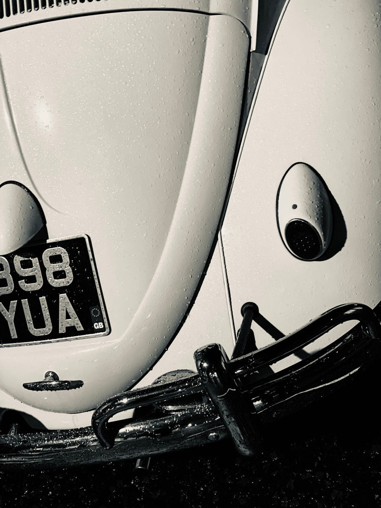 London Bug