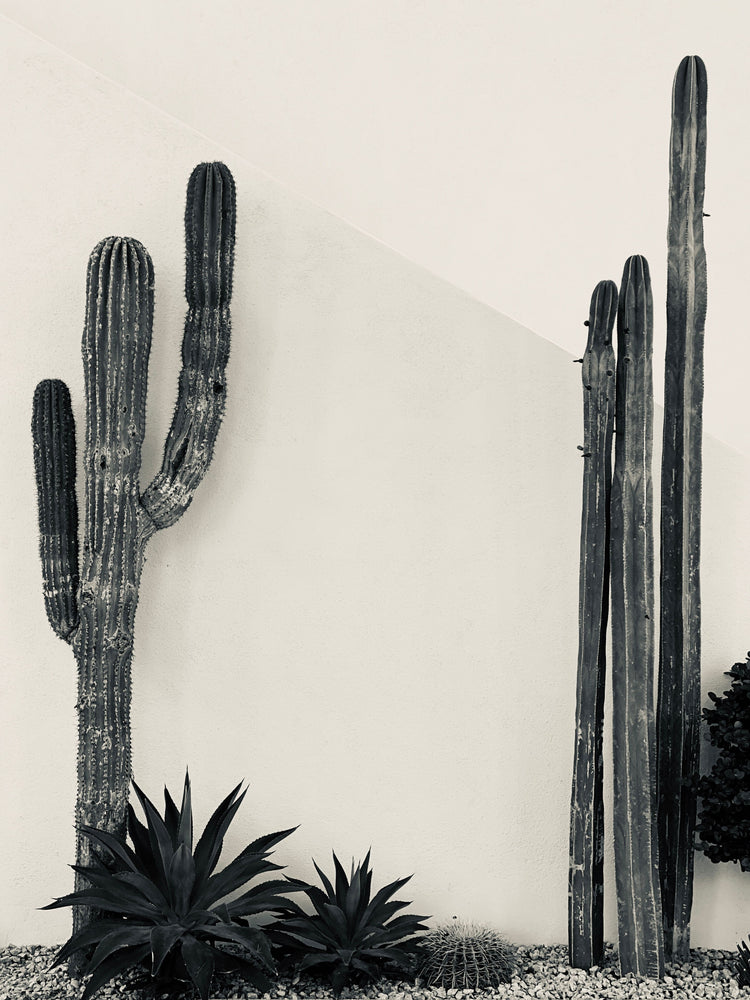 Prickly Pair