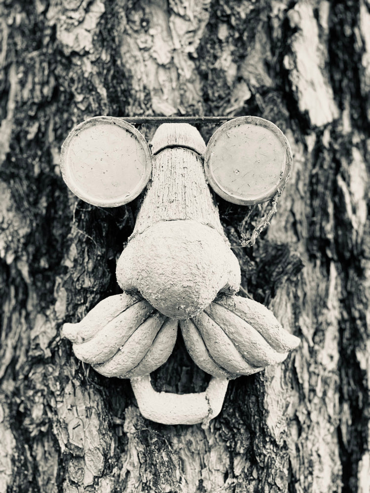Tree Huggin'